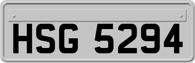 HSG5294