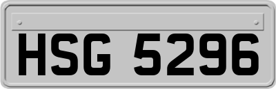 HSG5296