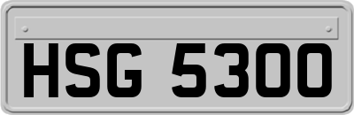 HSG5300