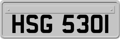 HSG5301