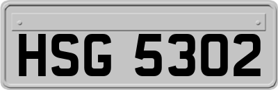 HSG5302