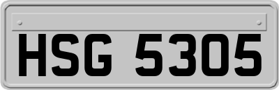 HSG5305