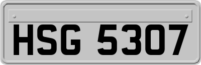 HSG5307
