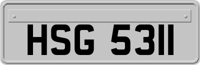 HSG5311