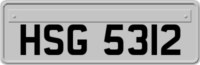 HSG5312