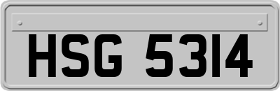HSG5314