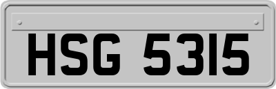 HSG5315