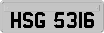 HSG5316