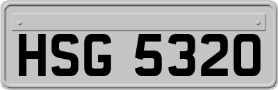 HSG5320