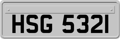 HSG5321