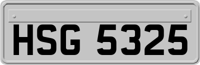 HSG5325