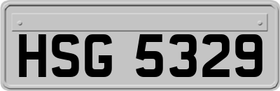 HSG5329