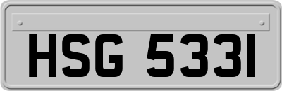 HSG5331