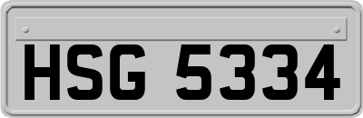 HSG5334