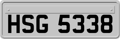 HSG5338