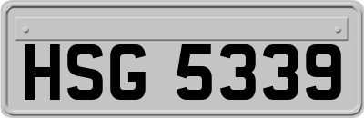 HSG5339