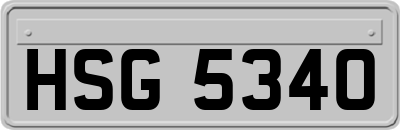 HSG5340