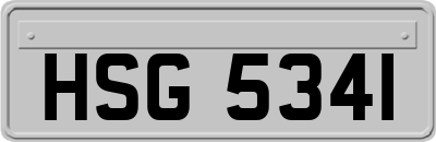 HSG5341