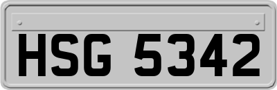 HSG5342