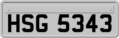 HSG5343
