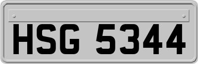 HSG5344