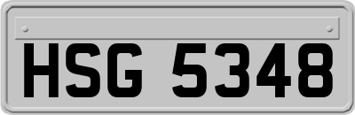 HSG5348