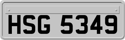 HSG5349