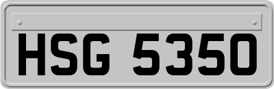HSG5350
