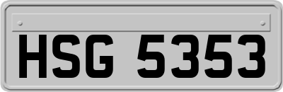 HSG5353
