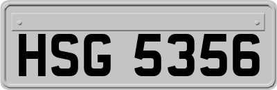 HSG5356
