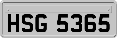 HSG5365