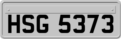 HSG5373