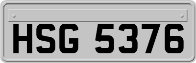 HSG5376