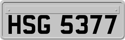 HSG5377