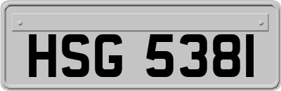 HSG5381