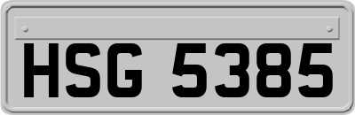 HSG5385