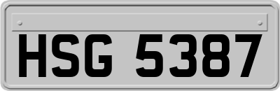 HSG5387