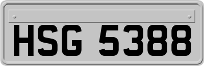 HSG5388