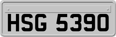 HSG5390