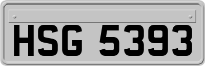 HSG5393