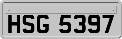 HSG5397
