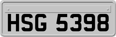 HSG5398