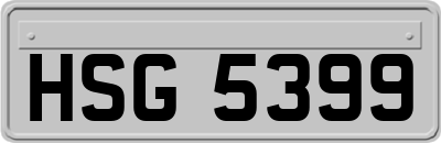 HSG5399