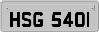 HSG5401