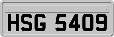 HSG5409