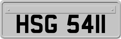 HSG5411