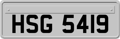 HSG5419