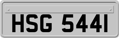 HSG5441