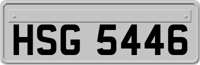 HSG5446