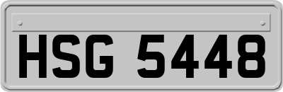HSG5448
